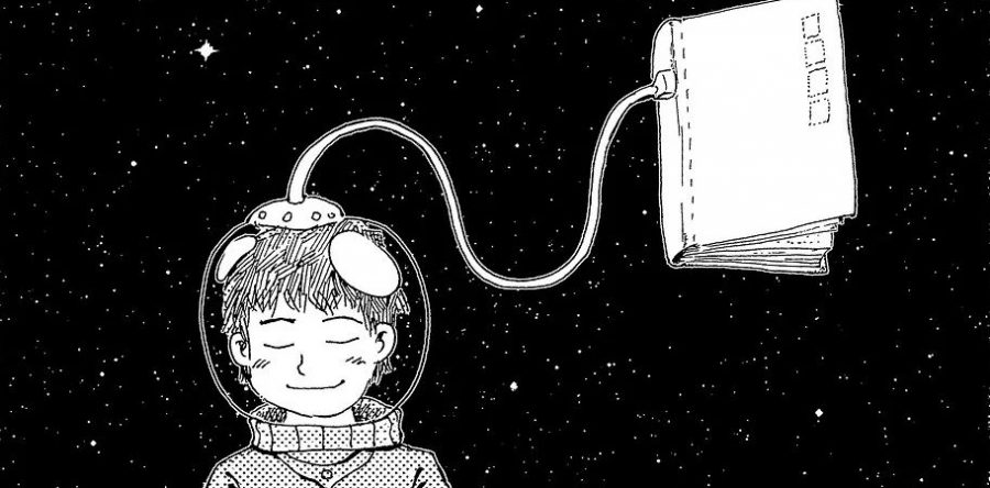 LA DECADENCIA DEL IDIOMA EN LAS REDES